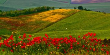 955 νέα Σχέδια Βελτίωσης στην Περιφέρεια  Θεσσαλίας