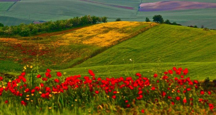 955 νέα Σχέδια Βελτίωσης στην Περιφέρεια  Θεσσαλίας