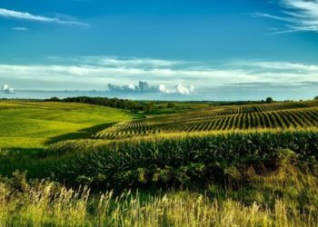 Μάκης Βορίδης: Θέτει σε εφαρμογή τα Σχέδια Βελτίωσης