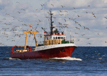 8,8 εκατομμύρια ευρώ για το Εθνικό Πρόγραμμα Συλλογής Αλιευτικών Δεδομένων