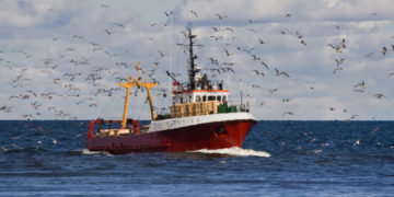 8,8 εκατομμύρια ευρώ για το Εθνικό Πρόγραμμα Συλλογής Αλιευτικών Δεδομένων