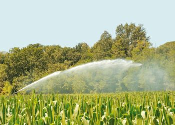 Τροποποίηση των οδηγιών διόρθωσης προφανών σφαλμάτων μέσω διοικητικών πράξεων έτους 2019