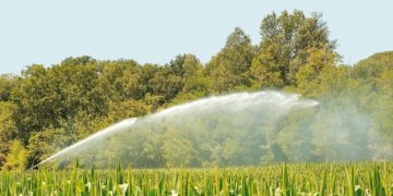 Τροποποίηση των οδηγιών διόρθωσης προφανών σφαλμάτων μέσω διοικητικών πράξεων έτους 2019