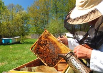 Ι.Γ.Ε. : Νέοι κύκλοι σεμιναρίων και καινοτόμα μαθήματα για τον πρωτογενή τομέα