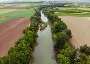 Πρόταση Κόκκαλη για 10% έκπτωση στη φορολογία των συνεταιριζόμενων αγροτών