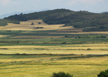 Κόκκαλης: Αφήστε τους επενδυτές και ισχυροποιείστε το υγιές αγροτικό συνεταιρίζεσθαι (video)