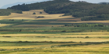 Κόκκαλης: Αφήστε τους επενδυτές και ισχυροποιείστε το υγιές αγροτικό συνεταιρίζεσθαι (video)