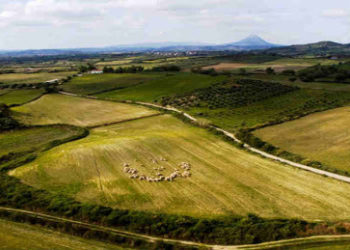 Στ. Αραχωβίτης: «Έλεγχο των συνεταιρισμών και χέρι στην ακίνητη περιουσία τους από τους ιδιώτες επενδυτές επιχειρεί το νομοσχέδιο για τους συνεταιρισμούς»