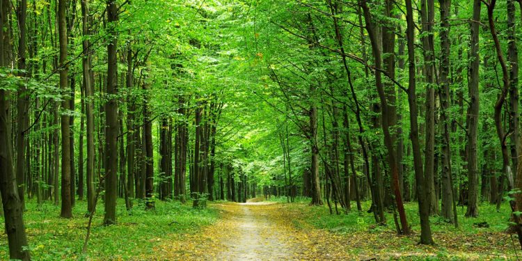 Βορίδης:  «Θέλουμε να δώσουμε στους παραγωγούς μας κάθε  δυνατότητα αύξησης του εισοδήματός τους»