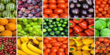 34 νέα Επιχειρησιακά Προγράμματα Οργανώσεων Παραγωγών Οπωροκηπευτικών