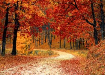 Αξιολόγηση της Ελλάδας στις 26 Φεβρουαρίου στα ζητήματα Περιβάλλοντος