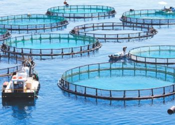 Φωτεινή Αραμπατζή: «Ιστορική ευκαιρία για τις ελληνικές Υδατοκαλλιέργειες η συνύπαρξη μιας Κυβέρνησης που θέλει και ενός Κλάδου που μπορεί »