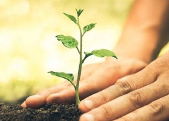 Ενημερωτική Εκδήλωση με θέμα: «Νέος Κανονισμός για τη Φυτοϋγεία»