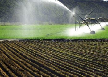 Βορίδης: Παράταση στην υποβολή ενδικοφανούς προσφυγής για τα Σχέδια Βελτίωσης