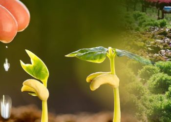 Επισημάνσεις Βορίδη προς τους αγρότες, για την πιστή τήρηση  των μέτρων αποτροπής διάδοσης του κορωνοϊού