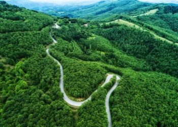 Μερική αναστολή της αποδεικτικής ισχύος που έχουν οι δασικοί χάρτες