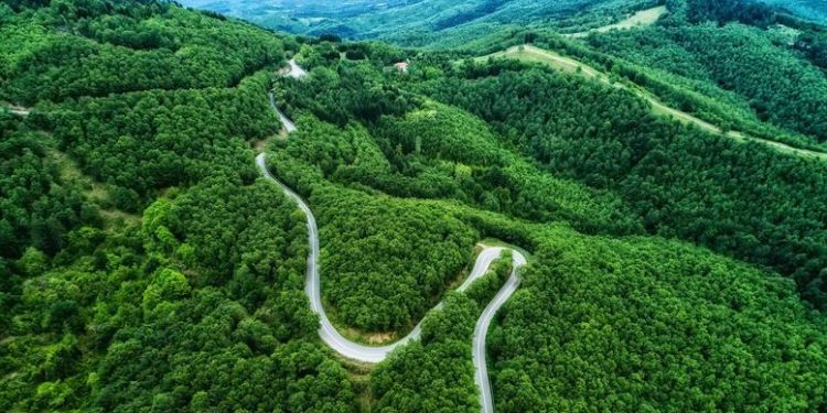 Μερική αναστολή της αποδεικτικής ισχύος που έχουν οι δασικοί χάρτες