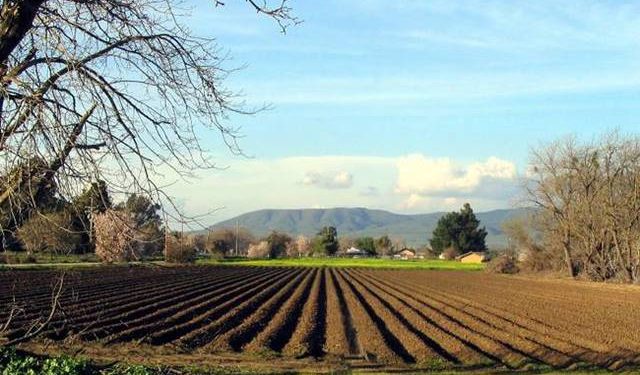 Κόκκαλης: Να παραταθεί ο χρόνος των δηλώσεων ζημίας για τους πληγέντες αγρότες της επαρχίας Τυρνάβου