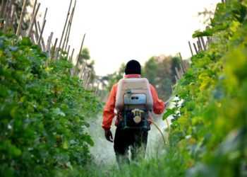 Παρατείνεται η δημόσια διαβούλευση για την επανεξέταση του Εθνικού Σχεδίου Δράσης για την Ορθολογική Χρήση των Γεωργικών Φαρμάκων