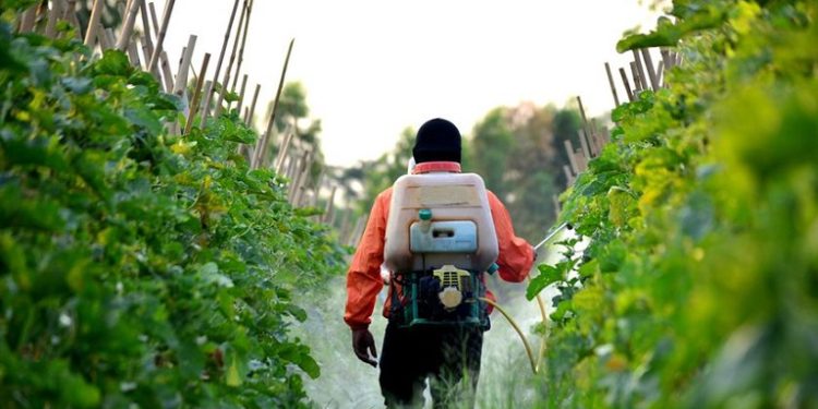 Παρατείνεται η δημόσια διαβούλευση για την επανεξέταση του Εθνικού Σχεδίου Δράσης για την Ορθολογική Χρήση των Γεωργικών Φαρμάκων