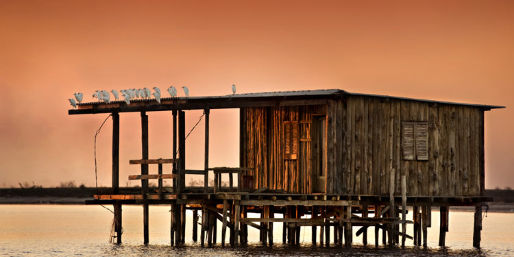 “Με ευθύνη του ΥΠΕΝ η καθυστέρηση ολοκλήρωσης της προστασίας στο Εθνικό Πάρκο Δέλτα Αξιού”