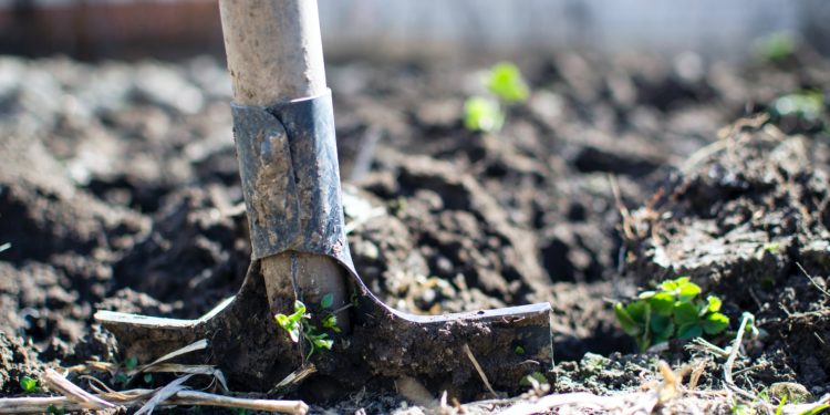 Την επιχορήγηση ανέργων ζητούν βουλευτές της Ν.Δ. για να εργαστούν ως εργάτες γης