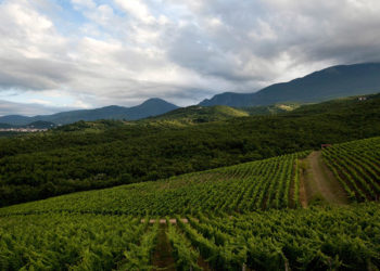 Έκδοση 3ης Πρόσκλησης της Δράσης 10.01.08 «ΚΟΜΦΟΥΖΙΟ»