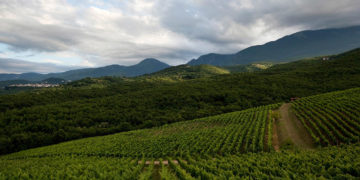 Έκδοση 3ης Πρόσκλησης της Δράσης 10.01.08 «ΚΟΜΦΟΥΖΙΟ»