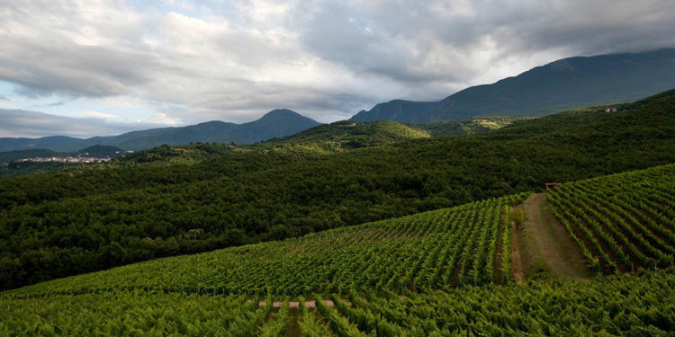 Έκδοση 3ης Πρόσκλησης της Δράσης 10.01.08 «ΚΟΜΦΟΥΖΙΟ»