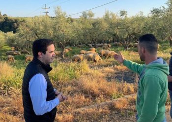 Μιχάλης Κατρίνης: Οι κτηνοτρόφοι και οι αγρότες της Ηλείας αντιμετωπίζουν μειωμένες τιμές, αλλά και αδράνεια από την κυβέρνηση.