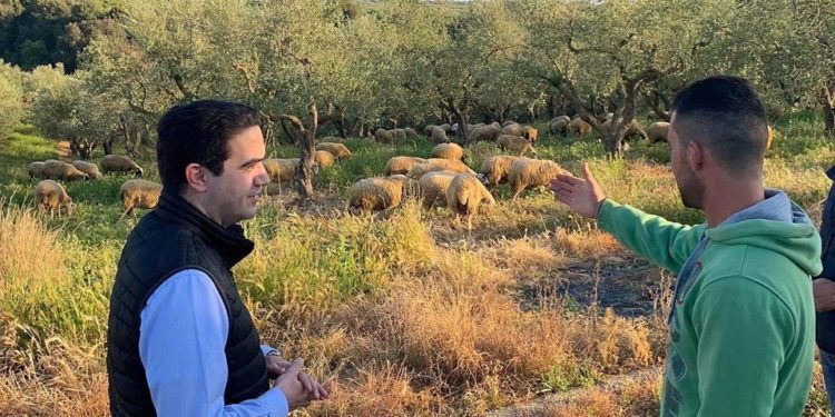 Μιχάλης Κατρίνης: Οι κτηνοτρόφοι και οι αγρότες της Ηλείας αντιμετωπίζουν μειωμένες τιμές, αλλά και αδράνεια από την κυβέρνηση.