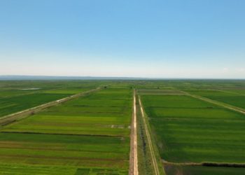 Νέα παρέμβαση Κόκκαλη για τη ΔΕΗ: Σε απόγνωση οι αγρότες!