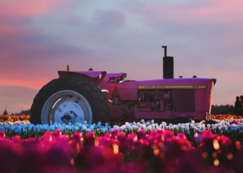 “Το επίδομα ανεργίας να γίνει επίδομα εργασίας”