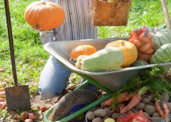 ΜέΡΑ25: Το κράτος να γίνει ο αγοραστής ύστατης ανάγκης των αγροτικών προϊόντων