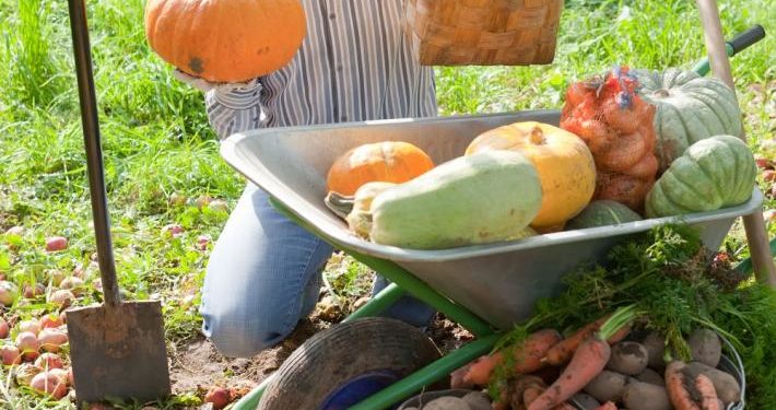 ΜέΡΑ25: Το κράτος να γίνει ο αγοραστής ύστατης ανάγκης των αγροτικών προϊόντων