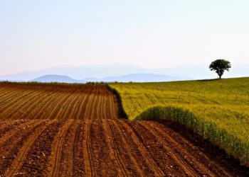 Η αμφίδρομη σχέση πολιτείας – πολιτών