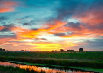 ΥΠΑΑΤ: Οι Έλληνες αγρότες αποκτούν πρόσβαση στο Ταμείο Εγγυοδοσίας  για τον κορωνοϊό