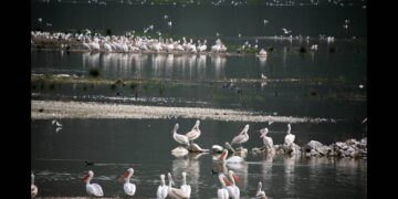 Τους  76 υγρότοπους της Θεσσαλίας αναδεικνύει η Περιφέρεια