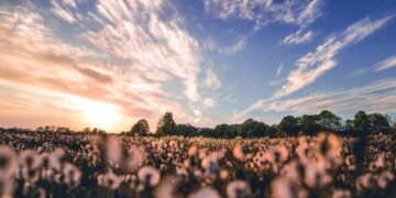 ΣΥΡΙΖΑ: Μένουμε Όρθιοι στον αγροτικό τομέα