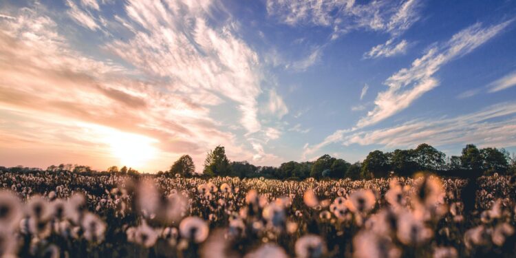 ΣΥΡΙΖΑ: Μένουμε Όρθιοι στον αγροτικό τομέα