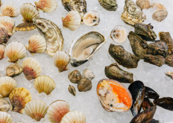 Άρση περιοριστικών μέτρων σε ζώνη παραγωγής και αλιείας οστρακοειδών της Π.Ε. Ροδόπης