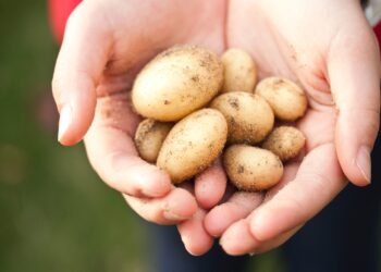 Μιχάλης Κατρίνης: Οι κτηνοτρόφοι και οι παραγωγοί της Ηλείας περιμένουν άμεσα αποζημιώσεις και στήριξη από την κυβέρνηση