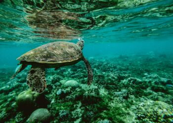 Κ. Χατζηδάκης: Είμαστε περήφανοι γιατί εκσυγχρονίζουμε στην πράξη και όχι στα λόγια την ελληνική περιβαλλοντική νομοθεσία