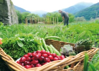 Μέχρι τις 27 Μαΐου οι τροποποιήσεις πράξεων στο Μέτρο 11 «Βιολογικές Καλλιέργειες»