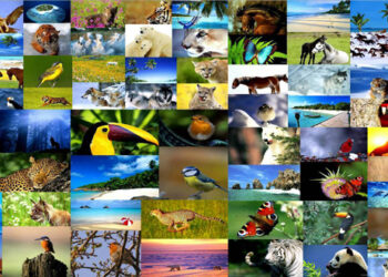 Η Παγκόσμια Ημέρα Βιοποικιλότητας  και η συμβολή του ΥΠΑΑΤ