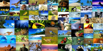 Η Παγκόσμια Ημέρα Βιοποικιλότητας  και η συμβολή του ΥΠΑΑΤ