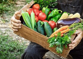 ΥΠΑΑΤ: Συγκροτείται Ομάδα Εργασίας για τη διασφάλιση της επισιτιστικής επάρκειας και της διατροφικής ασφάλειας