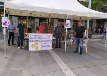 Ενημέρωση για την μελισσοκομία στο κέντρο της Κοζάνης