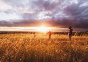 Φάμελλος: Χωρίς πολιτική για τον αγροτικό τομέα η κυβέρνηση