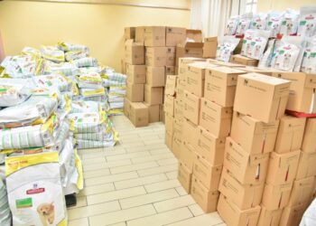 #AnimalSolidarityGR του Υπουργείου Εσωτερικών για τα αδέσποτα: Συγκεντρώθηκαν ήδη περισσότεροι από 52 τόνοι τροφής